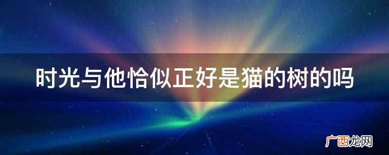 时光与他恰似正好不是猫的树 时光与他恰似正好是猫的树的吗