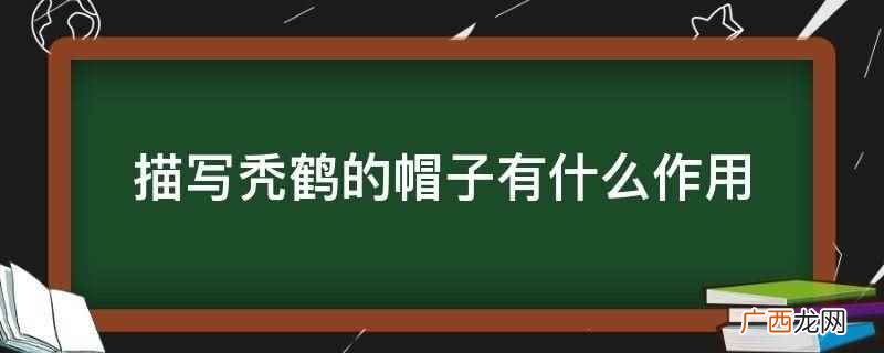 谁把秃鹤的帽子放在了旗杆上 详细描写秃鹤的帽子有什么作用