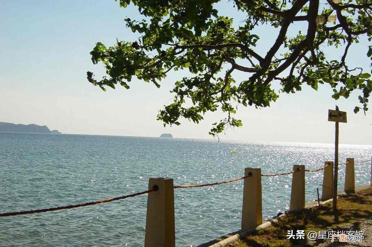 把天蝎男迷得死死的星座女 天蝎座男生最配星座排行