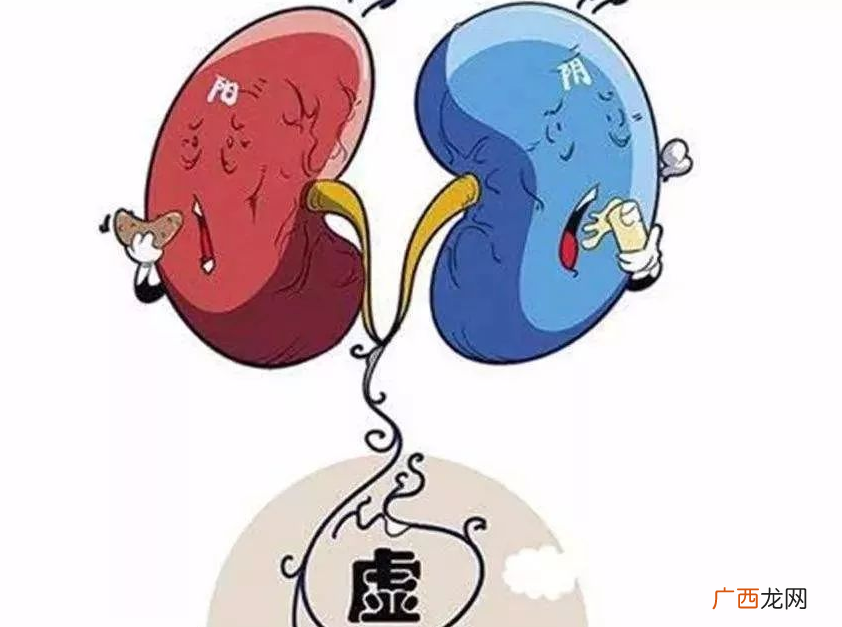 清热凉血，养阴生津可重用生地黄 地黄的功效与作用