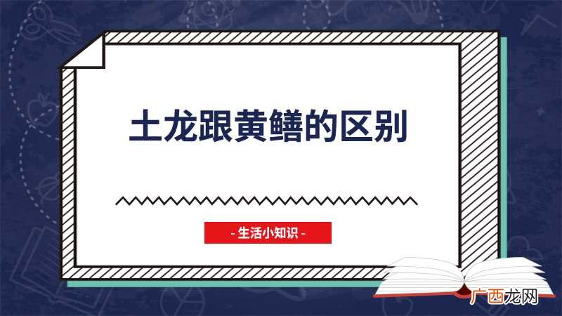 土龙和黄鳝有什么区别 土龙跟黄鳝的区别