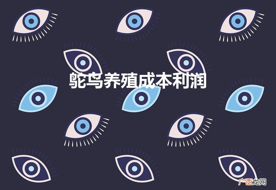 养十只鸵鸟的利润 鸵鸟养殖成本利润