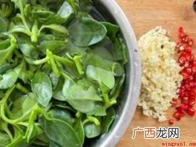 田七苗的食用方法及做法