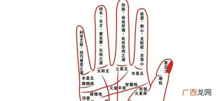 手相解说:掌纹手相算命图解大全