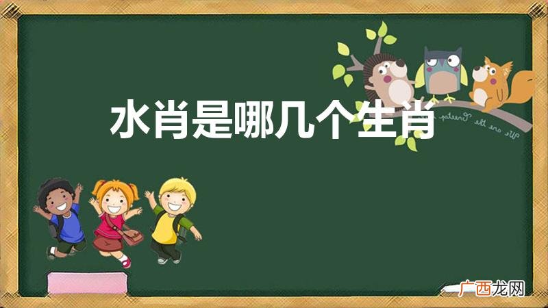 十二生肖哪些是水肖 水肖是哪几个生肖