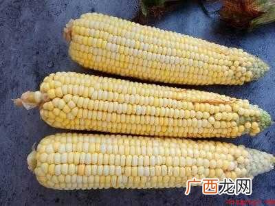 玉米的保鲜与贮藏的具体操作步骤 玉米的保鲜与贮藏