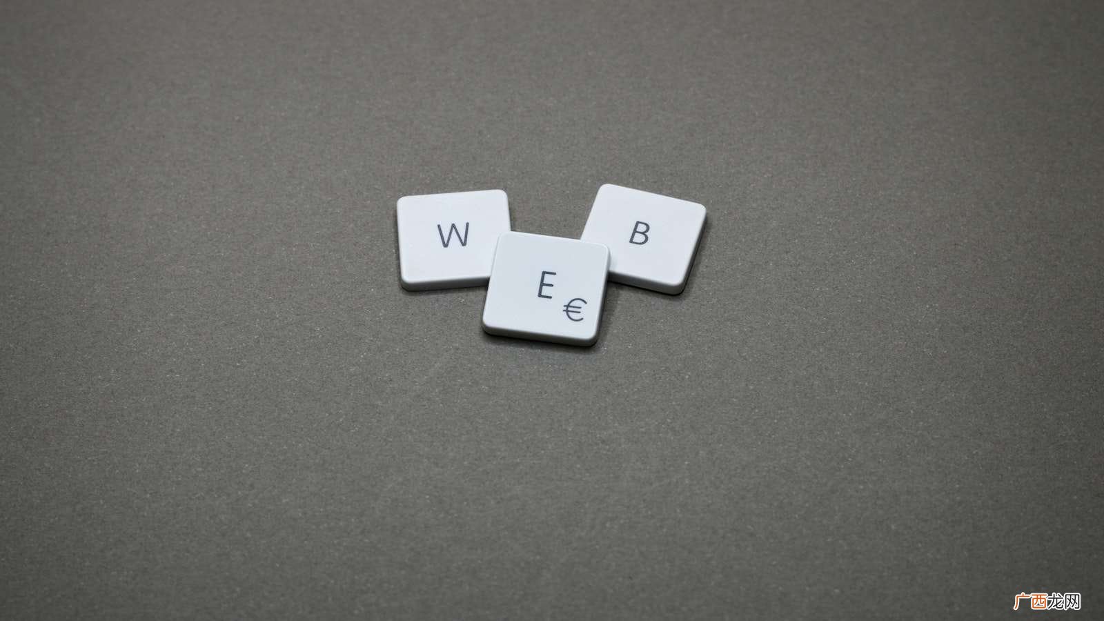 web是什么意思 web是什么