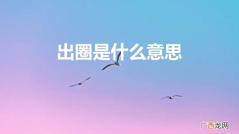 粉丝说的出圈是啥意思 出圈是什么意思