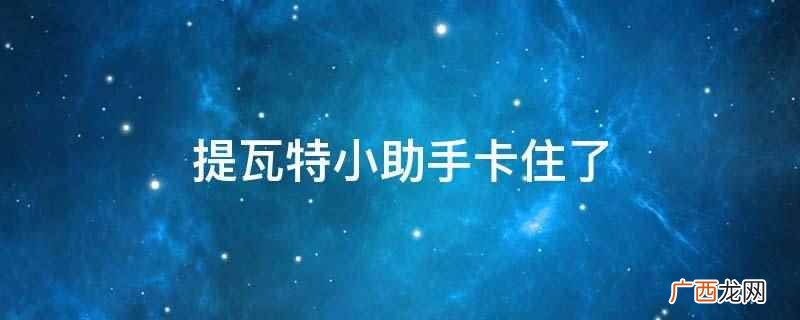 提瓦特小助手怎么用不了 提瓦特小助手怎么看抽卡分析