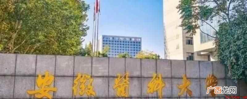 安医大指的是安徽医科大学,位于安徽省人民政府共建高校 安医大有本硕博连读吗