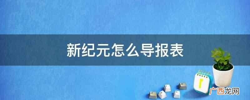 报表数据和报表格式有什么区别 新纪元怎么导报表