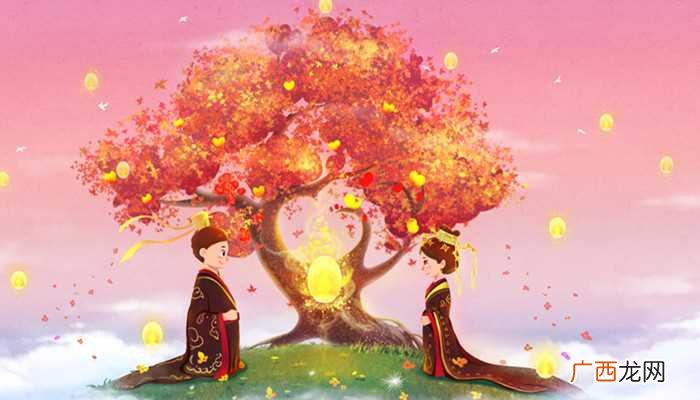 一夫一妻制的特点 贞操是什么意思