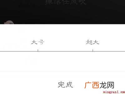 演示机型:Iphone 12 网易云字体怎么改大小