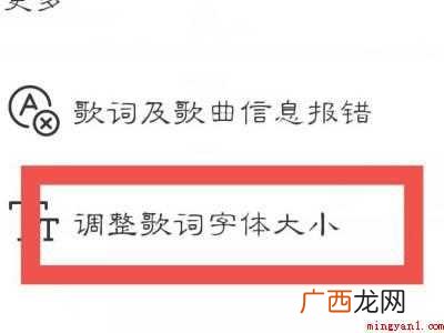 演示机型:Iphone 12 网易云字体怎么改大小