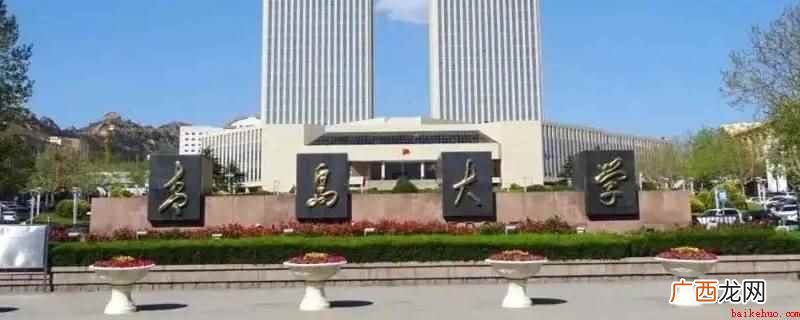 青岛大学y009是院校代码 青岛大学y009是啥