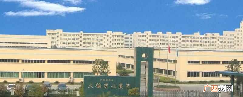 新加坡大德集团董事长是王务平 新加坡大德集团董事长是谁
