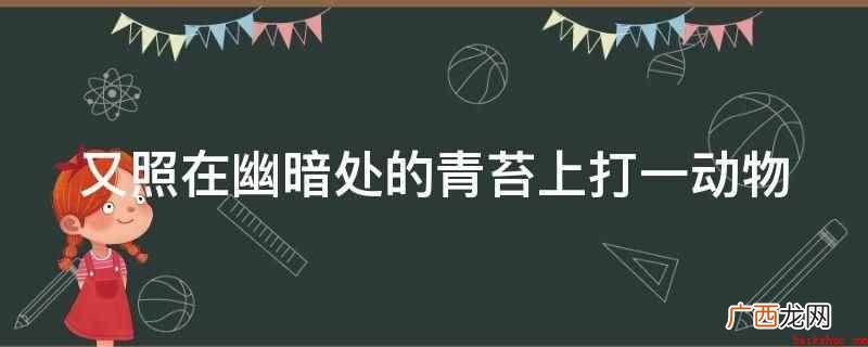 全诗为空山不见人,但闻人语响 又照在幽暗处的青苔上打一动物