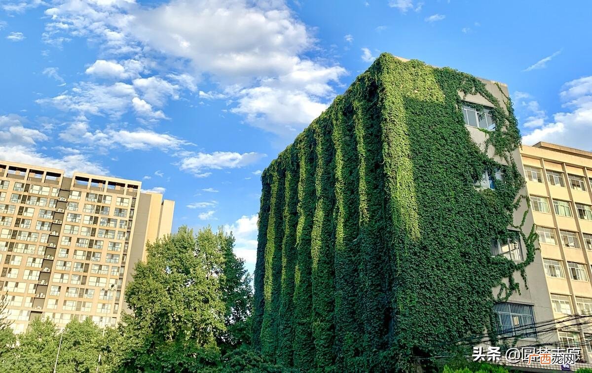 一所很不错的理工类高校 西安理工大学是211还是985