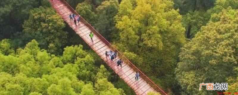 歌乐山森林公园晚上不可以去 歌乐山森林公园晚上可以去吗