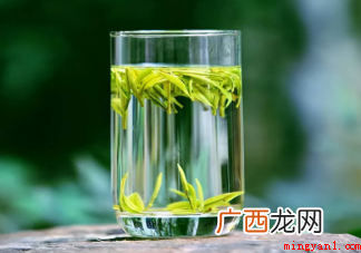 春茶是采摘越早品质越好吗