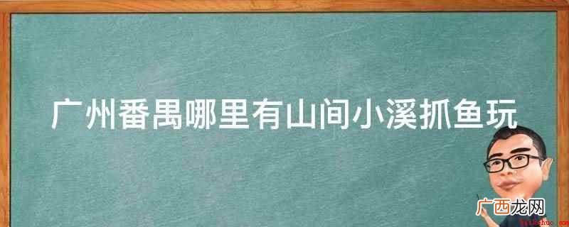 广东省广州市番禺区金海岸花园对面,水深一米多水面宽鱼多 广州番禺哪里有山间小溪抓鱼玩