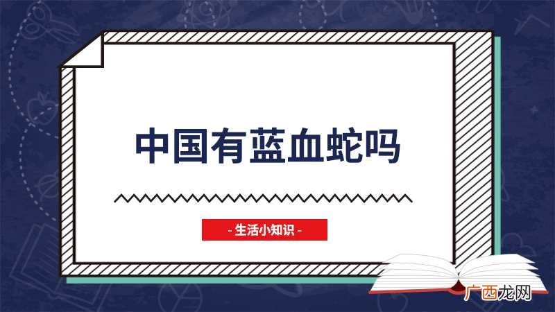 中国有蓝血蛇 中国有蓝血蛇吗