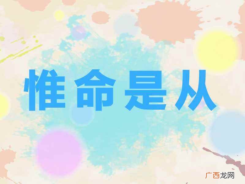 唯命是从是什么意思啊 唯命是从是什么意思