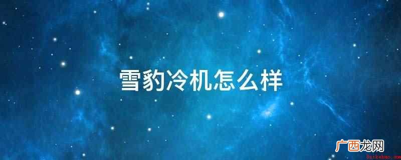 雪豹冷机突破车用制冷机的工作范畴 雪豹冷机怎么样