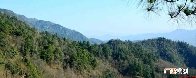 开垦400亩荒山,如果是人工开垦,需要一到两个月才能完成 开垦400亩荒山需要多少时间