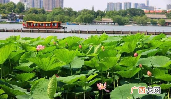 免费且好玩的济南十大景点攻略 济南景点排行榜前十名