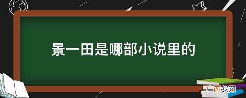 景一田是卧底归来小说里的 景一田是哪部小说里的