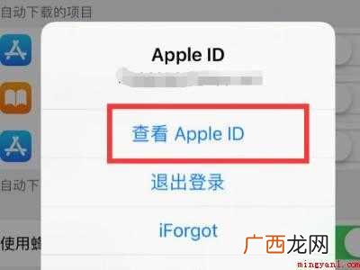 appstore怎么换成中文的具体操作步骤 appstore怎么换成中文