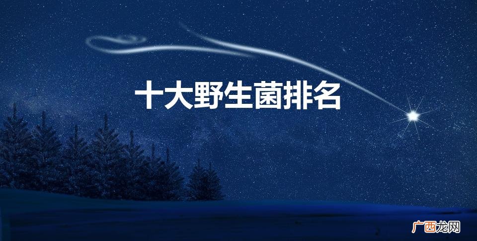 中国最好吃的菌类排名 十大野生菌排名