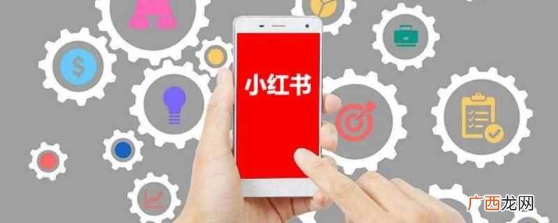 小红书是一个生活方式平台和消费决策入口 小红书评论被吞多久恢复