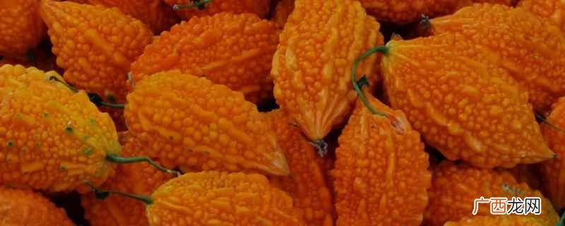葫芦科苦瓜属植物 金铃子 金铃子需要打顶吗
