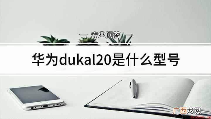 dukal20是什么型号的手机 华为dukal20是什么型号