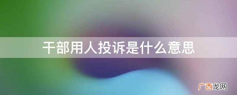 干部用人投诉的意思是什么 干部用人投诉