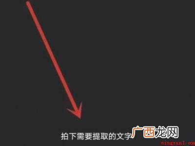 演示机型:Iphone 12 qq识图取字功能在哪里