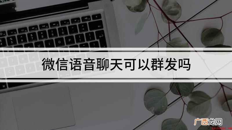 荣耀30s微信群发语音 微信语音聊天可以群发吗