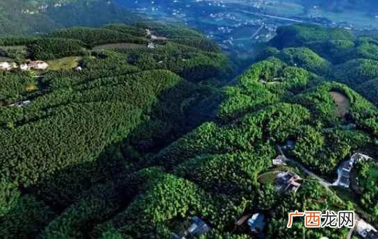 宜宾处于华蓥山地震带系统 四川宜宾是不是地震带