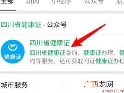 演示机型:Iphone 12 微信怎么查电子健康证