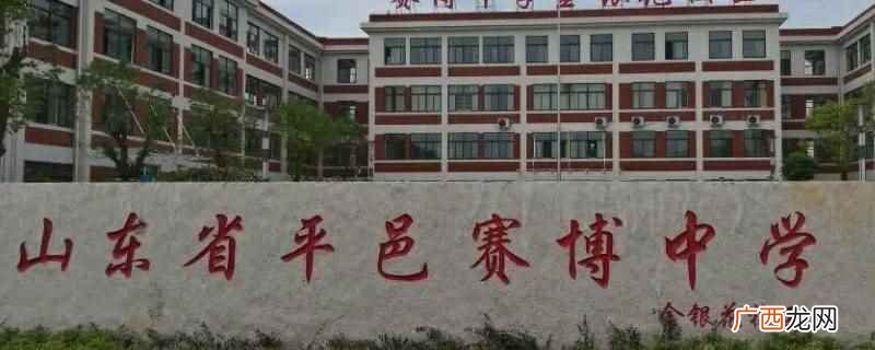 2021年平邑县赛博中学分数线 平邑赛博中学初中分数线2021