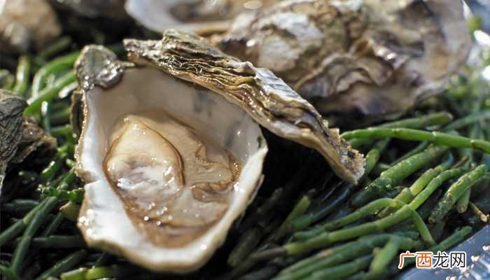 雌雄同体的动物有匙蛆、海鲈、欧洲扁蛎、蜘蛛、螃蟹、海兔、蚯蚓 雌雄同体的动物有哪些