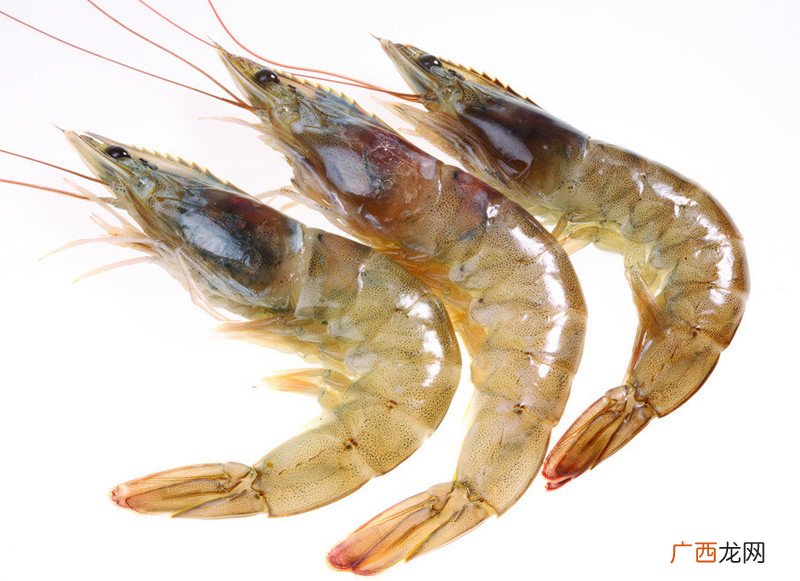 海虾和河虾的区别是什么 河虾和海虾的区别在哪里