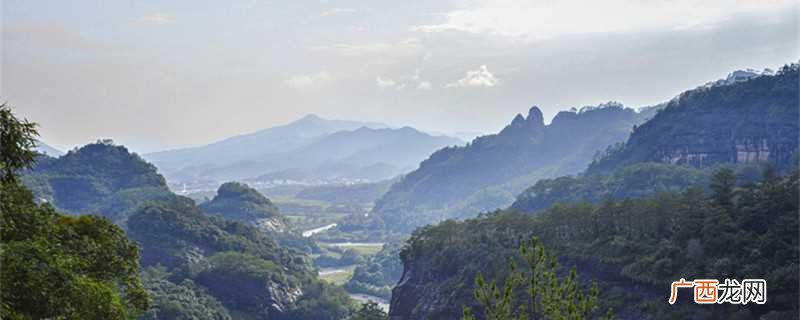 武夷山红菇、孝母饼、五夫黄鳝、武夷石斑鱼、腐乳炒蕨菜. 武夷山特产