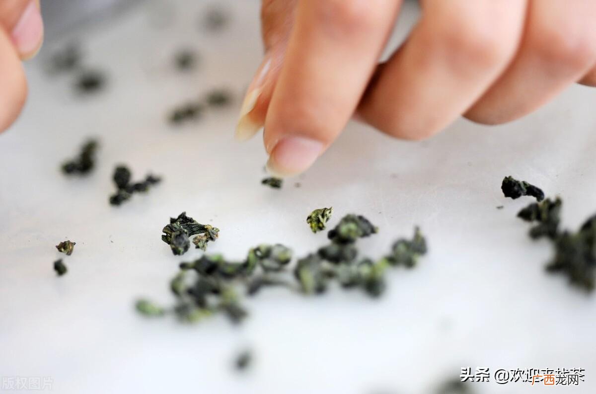 福建八大名茶排行介绍 福建名茶有哪些品牌