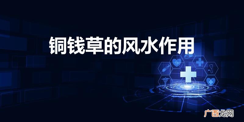 铜钱草的禁忌摆放位置 铜钱草的风水作用是什么
