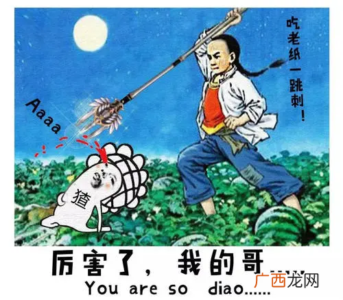 你是闰土我是猹