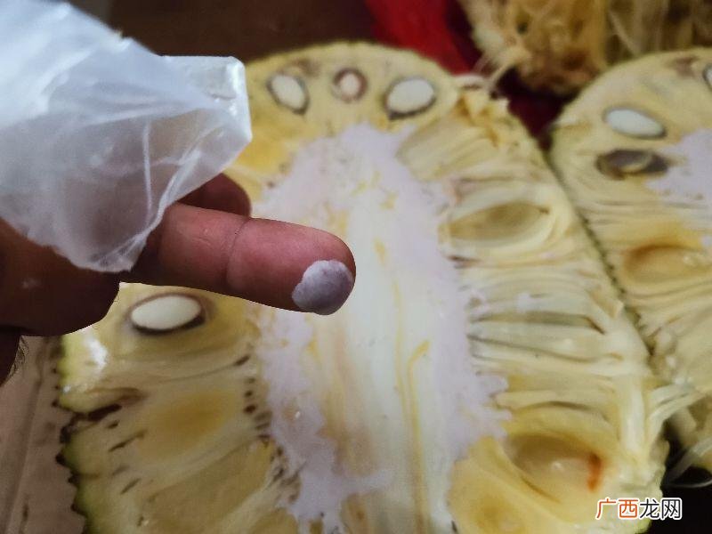 菠萝蜜粘在手上怎么弄掉妙招 怎么去除菠萝蜜粘在手上的胶