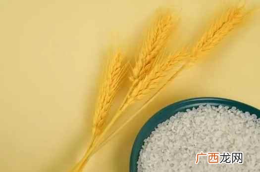 世界粮食日是每年的10月16日 世界粮食日是每年的几月几日